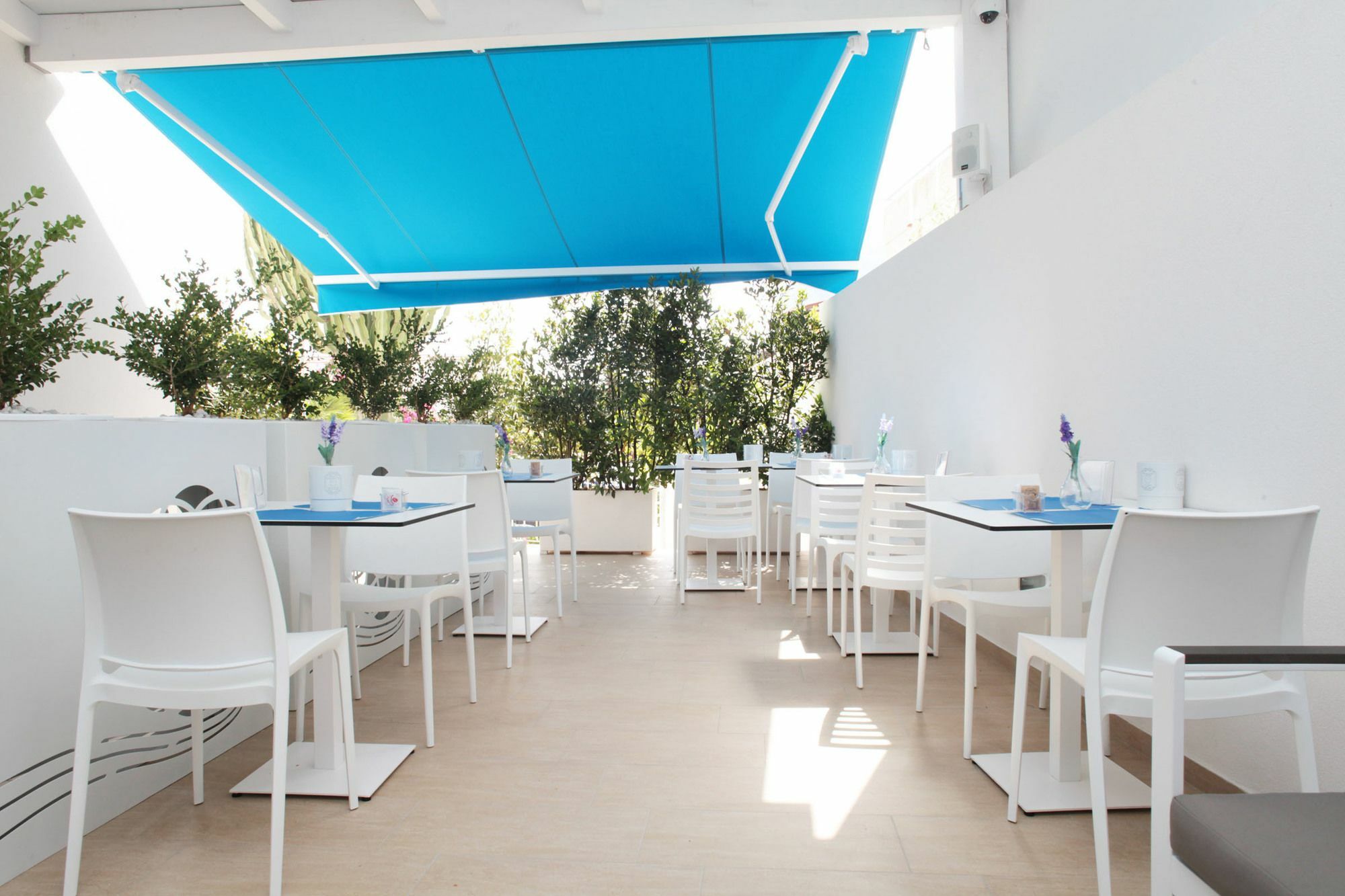 Rivazzurra Design Rooms San Vito Lo Capo Exterior foto
